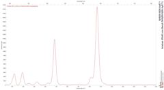 Analyse (RAM) von Beryll (NHMW-MIN-Ay671)